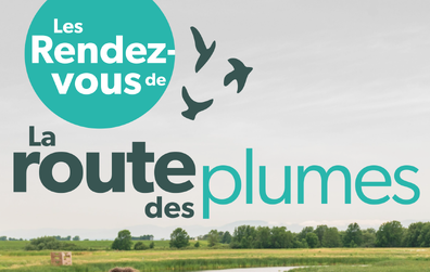 Un premier rendez-vous ornithologique dans la région